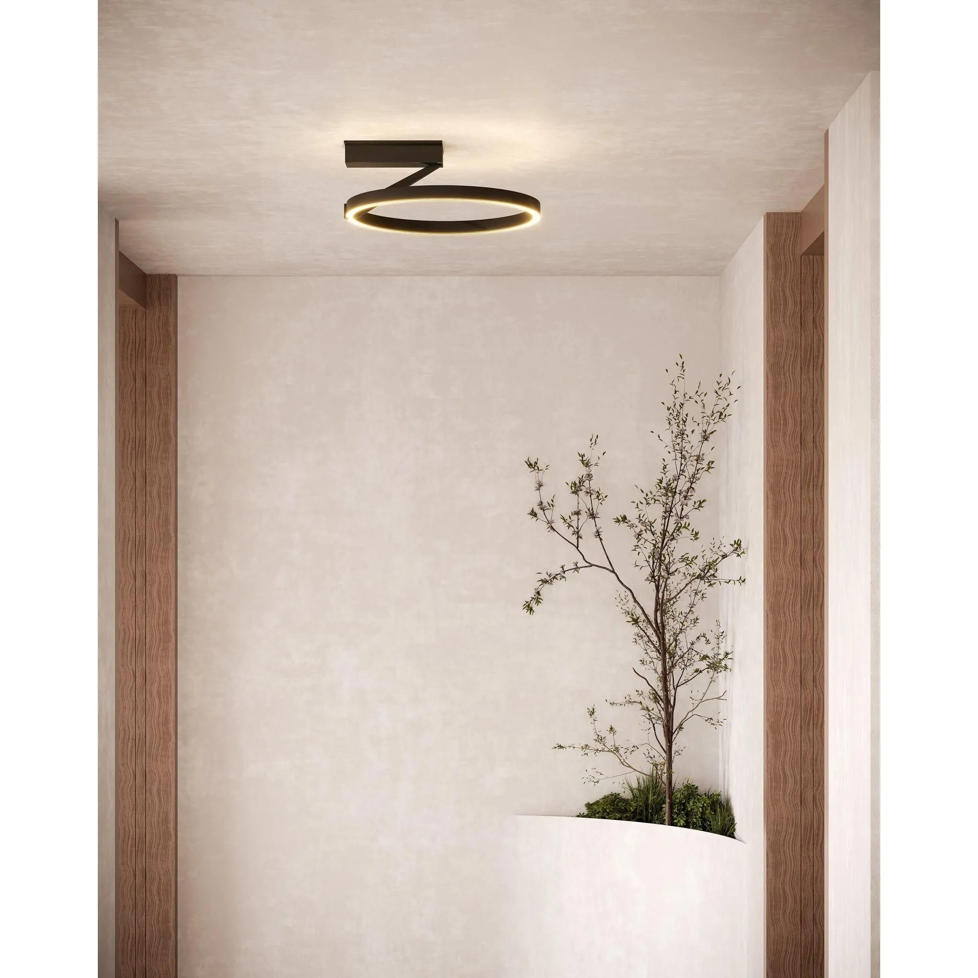 Ceiling Lights